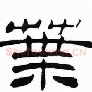 葉