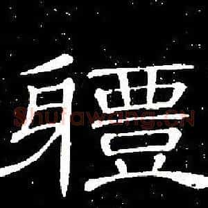體