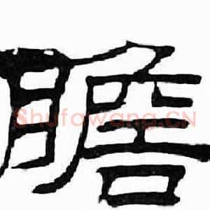 瞻