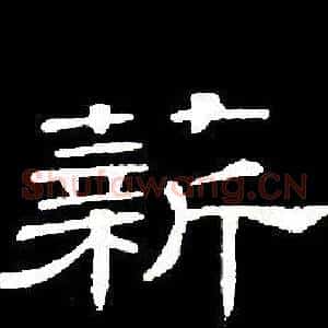 薪