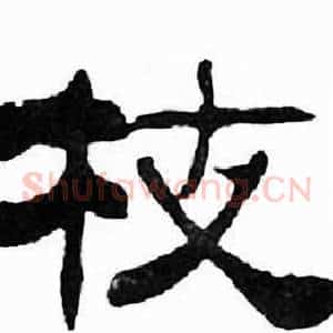 枝