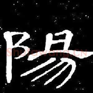 陽