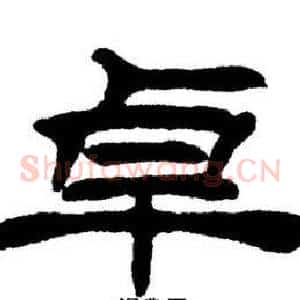 卓