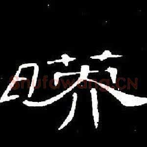 映