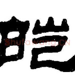 皑