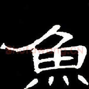 魚