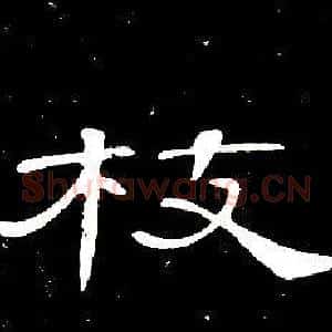 枝