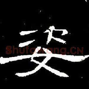 姿