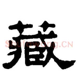 藏