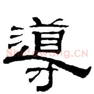 导