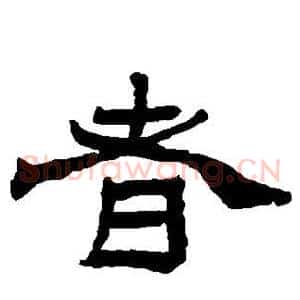 者