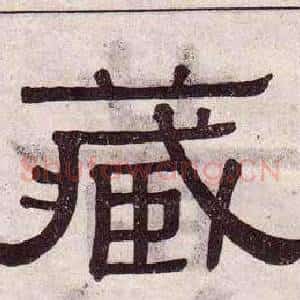 藏