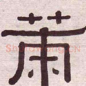 策