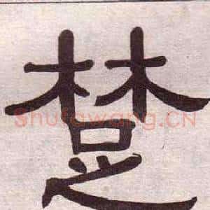 楚
