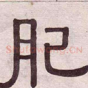 肥