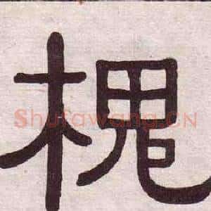 槐