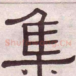 集