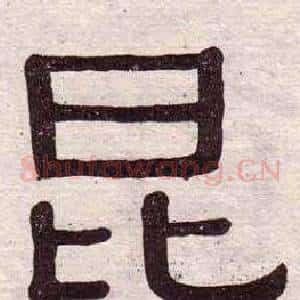 昆