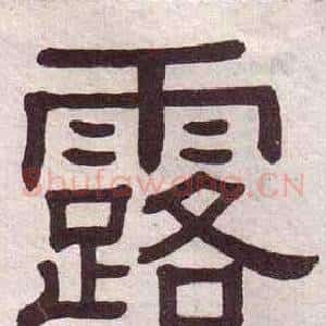 露