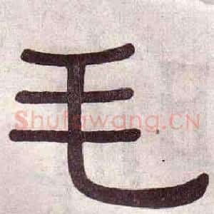 毛