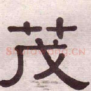 茂