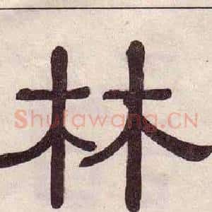 林