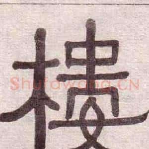 樓