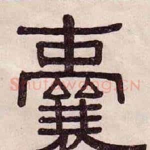 囊