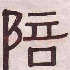 陪