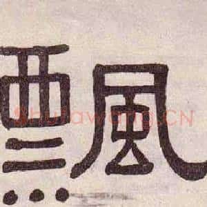 飄
