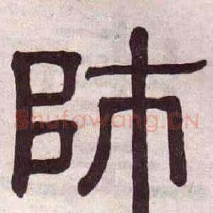 師