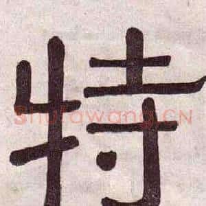 特