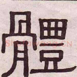 體
