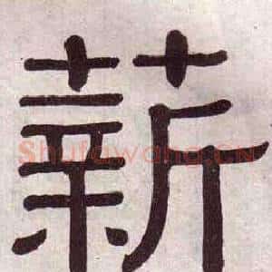 薪