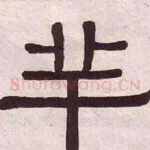 羊