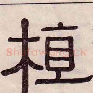 植