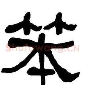 笨