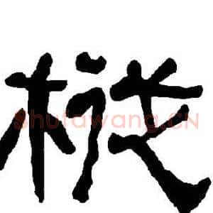 枞