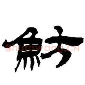 鲂