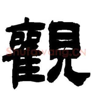 观