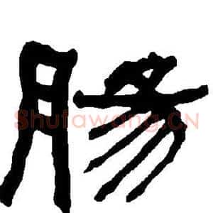 肠