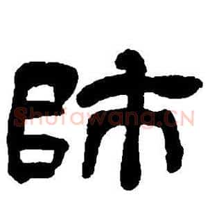 师