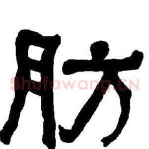 肪