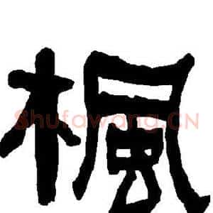 枫