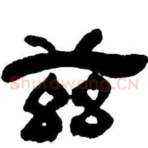 兹