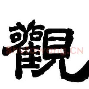 观