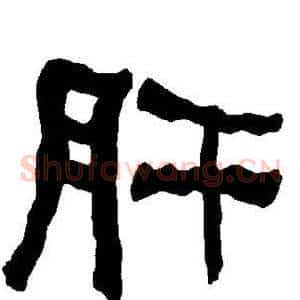 肝
