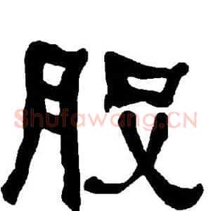 股