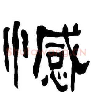 憾