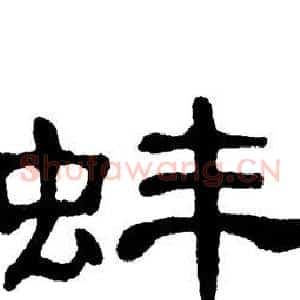 蚌